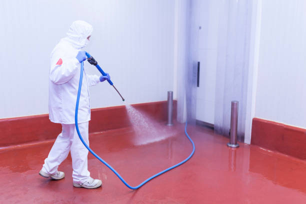 Best Sidewalk and Walkway Pressure Cleaning in Barnesville, MN