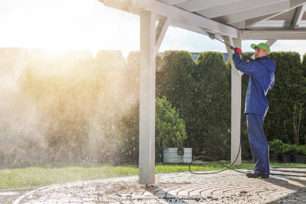 Best Vinyl Siding Pressure Washing in Barnesville, MN